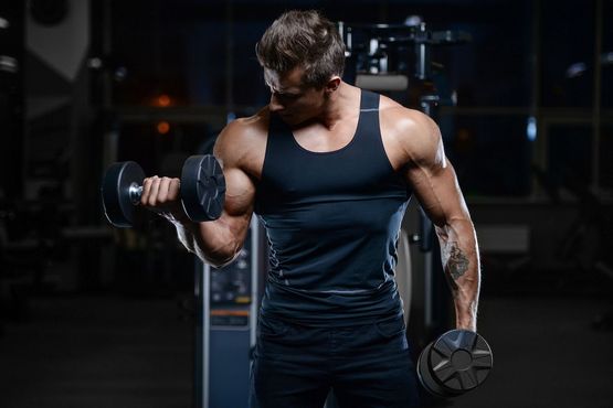 Clenbuterol: Efectos de la Aplicación